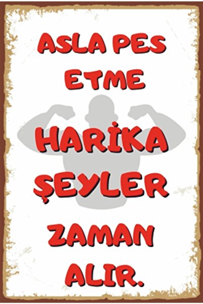 Hayat Poster Nu te descurci niciodată Cuvinte motivaționale Poster retro din ...