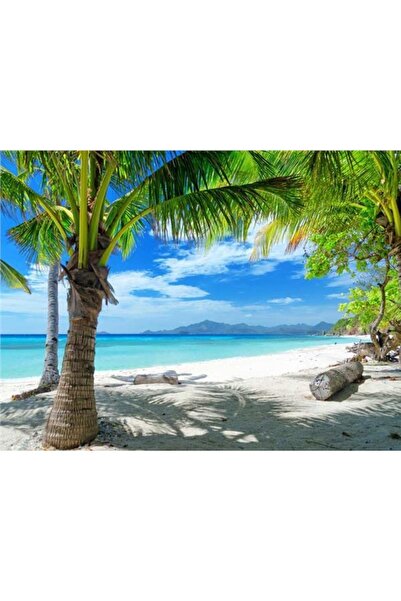 EkoDekor 3 boyutlu duvar kagitlari Tropikal Ada Deniz Manzara Duvar Kağıdı Kanvas Tek Parca