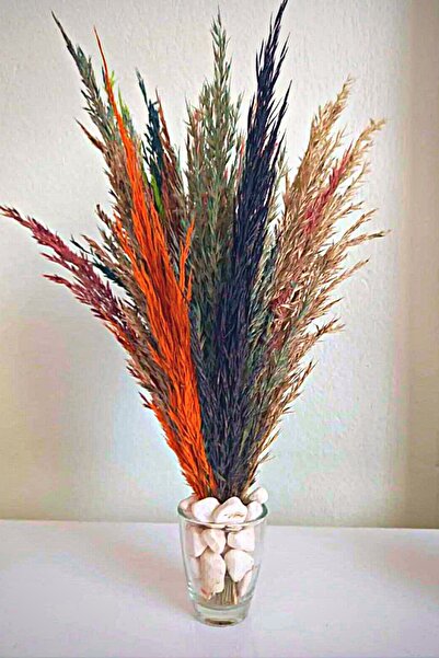 Alyones 15'li Karışık Renk Doğal Pampas Ahşap Bilezikli Renkli Demet Küçük Boy