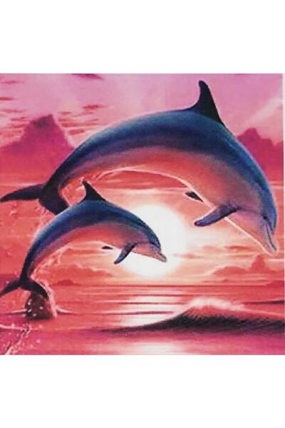 Genel Markalar Hı Stone 5d Elmas Boncuk Taş Işleme Mozaik Goblen Kit 30x30cm Ms25072