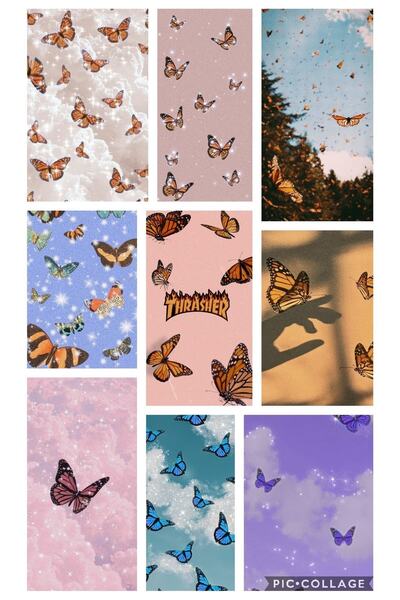 owl bag Estetika Leptir Set od 9 foto kartica