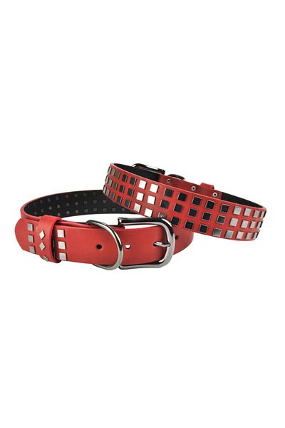 Bestie Merlin Large Size Leather Dog Collar 55 cm