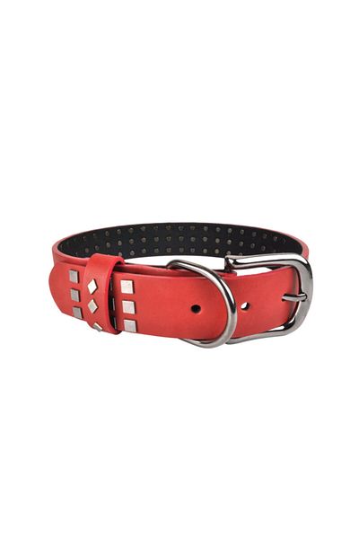 Bestie Merlin Large Size Leather Dog Collar 55 cm