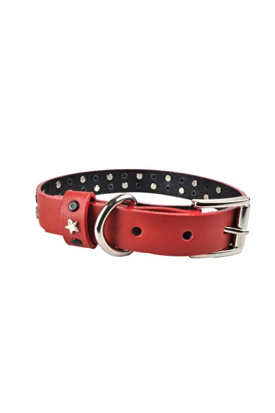 Bestie Leo Medium Leather Dog Collar 45 cm