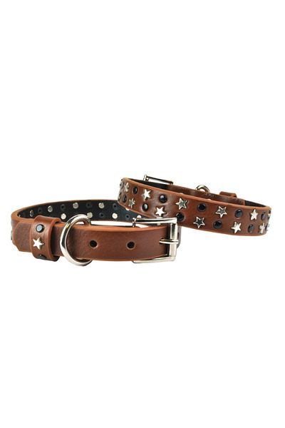 Bestie Leo Medium Leather Dog Collar 45cm