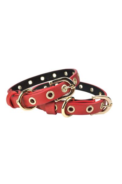 Bestie Capsule Small Size Leather Dog Collar 35 cm
