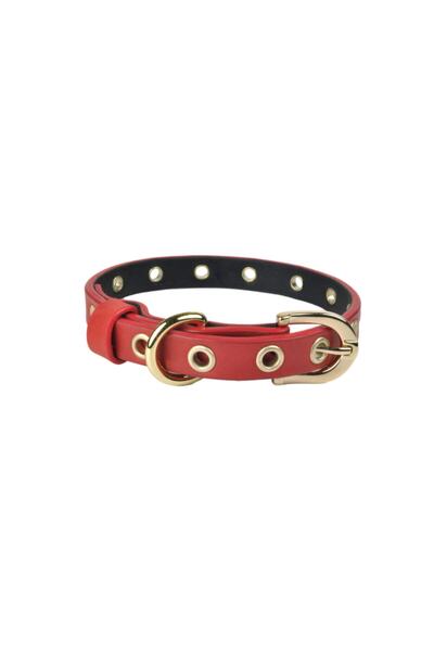 Bestie Capsule Small Size Leather Dog Collar 35 cm