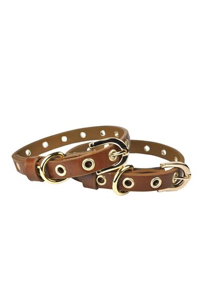 Bestie Small Size Leather Dog Collar 35cm Capsule