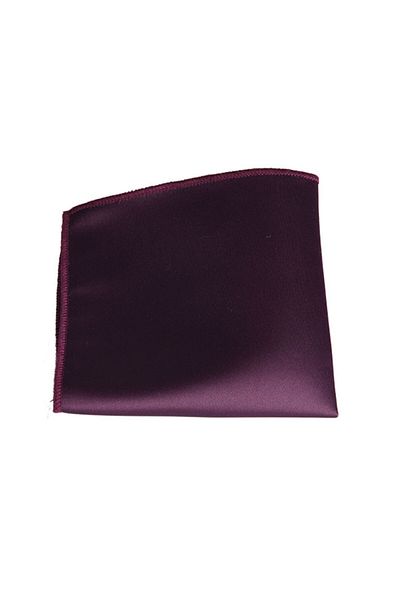 Brianze Men's Purple Handkerchief Tie Smdk-9