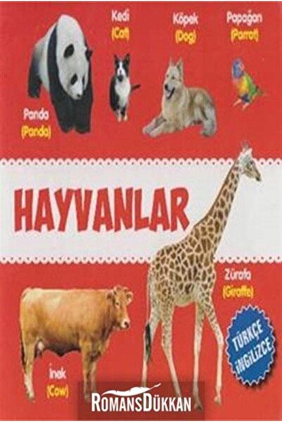Parıltı Yayıncılık Animals - Educational Learning Board Books