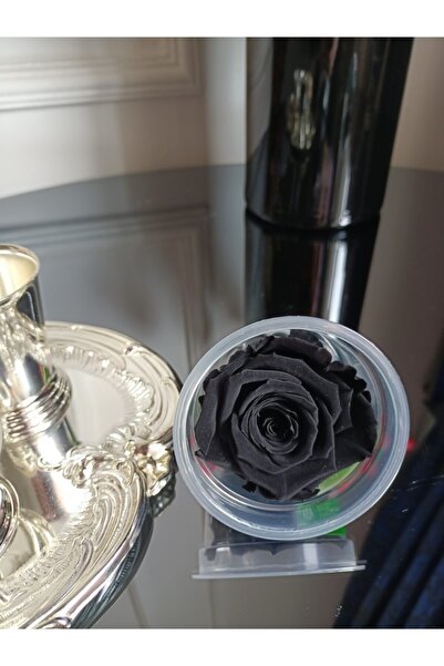 MELT HOME DESİGN Μαύρο Ανεξίτηλο Τριαντάφυλλο Εκουαδόρ