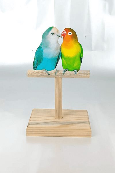 Alyones Wooden Bird Training Stand Mini T