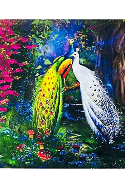 OzanTuhafiye Hı Stone 5d Elmas Boncuk Taş Işleme Mozaik Goblen Kit 50x40cm Gc...