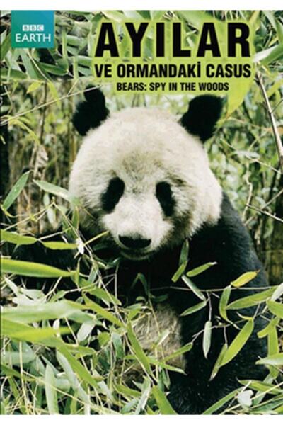BBC Bears - Spy In The Woods - Ayilar Ve Ormandaki Casus
