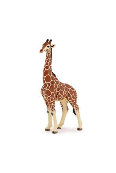Papo Erkek Zürafa P50149