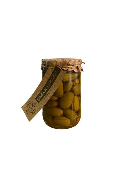 500 GR DATÇA ÇAĞLA TURŞUSU
