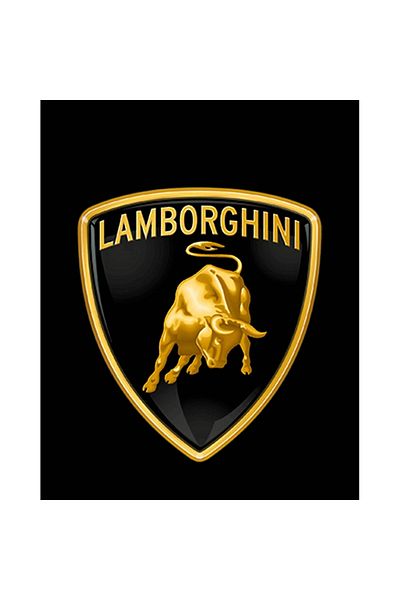 Z zepplin Lamborghini Logo 2 Patch mare pe spate
