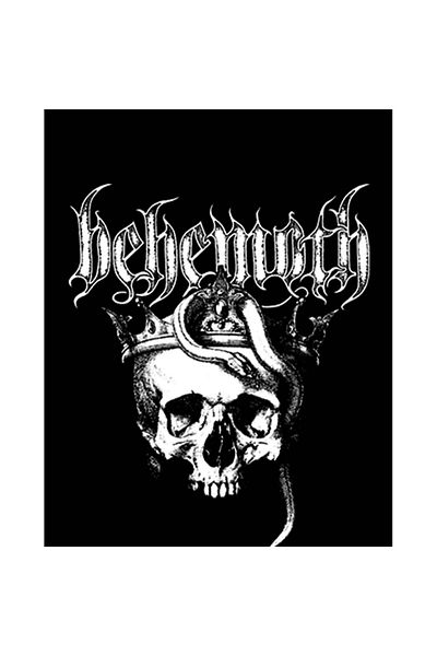Z zepplin Patch pentru spate mare Behemoth Skull