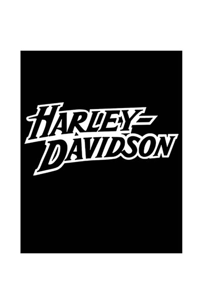 Z zepplin Harley Chopper Logo 3 Patch-uri mari pe spate