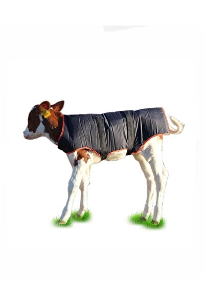 Farmena Buzağı Battaniyesi Standart