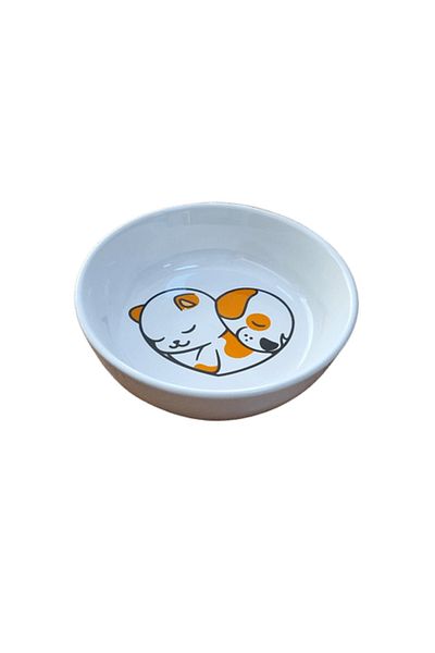 Glipet 2 Pack Washable Ceramic Food and Water Bowl 14 cm 250 ml