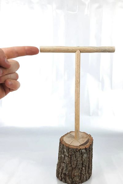 Alyones Bird Perch Log