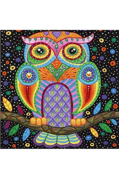 Genel Markalar Hı Stone 5d Elmas Boncuk Taş Işleme Mozaik Goblen Kit 30x30cm Ms20873