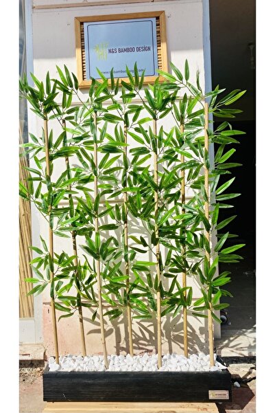 Genel Markalar Bambu Paravan