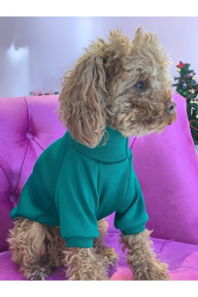 aria pet butik Köpek Kedi Triko Basic Boğazlı