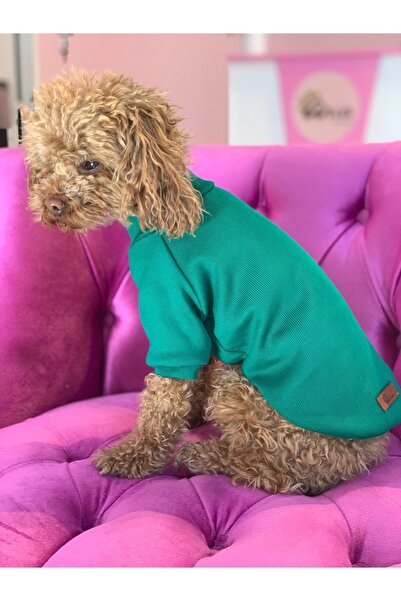 aria pet butik Köpek Kedi Triko Basic Boğazlı