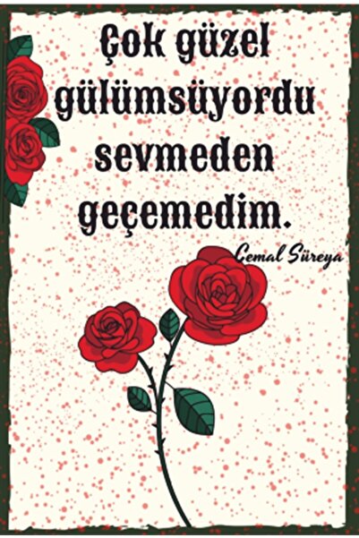 Hayat Poster كانت جميلة جدًا، كانت ملصقًا خشبيًا قديمًا من Cemal Süreya
