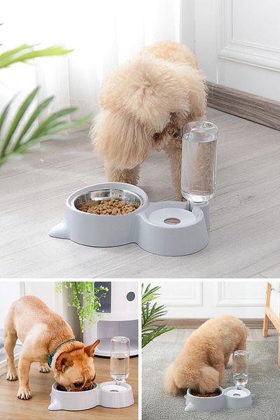 TechnoSmart Automatic Water Dispenser with Large Size Bowls Cat Dog Food and Water Container Storage
