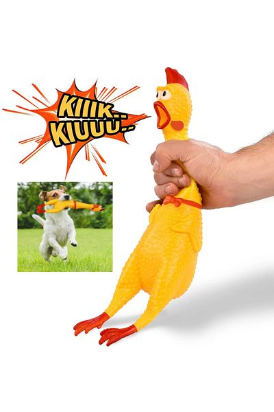 TUENGİ STORE Large Size Wearing Screaming Rooster Chicken Shrilling Chicken Cat Dog Toy