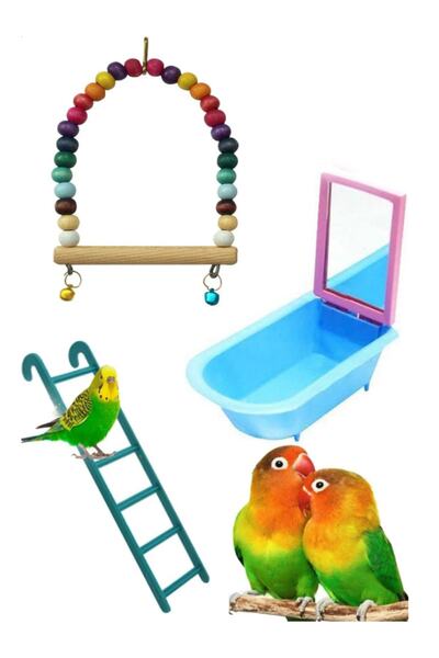 Petistera Budgie Toy Set (swing-mirror Bathtub-ladder)