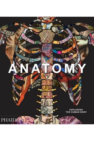Kitapbulan İthal Kitap Anatomy: Exploring The Human Body