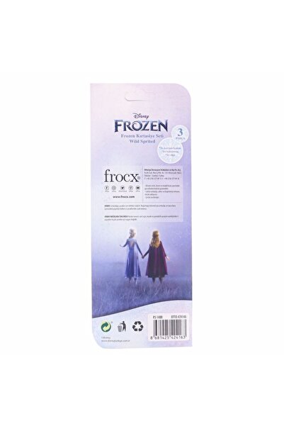 Frozen Lisanslı Kırtasiye Seti