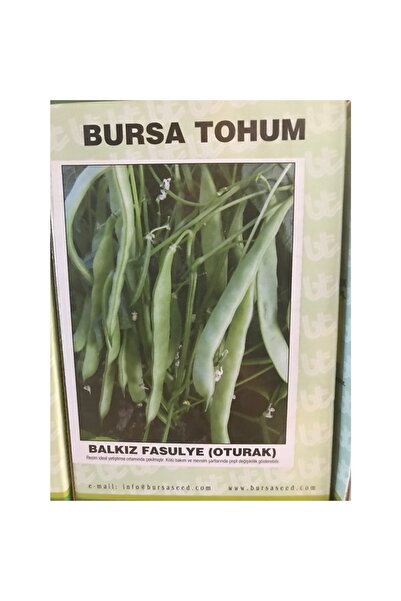 Bursa Tohumculuk Bursa Tohum Balkız Fasulye 1kg