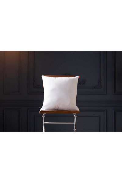 NESCO 1 Piece 60x60 Throw Pillow Inside Pillow Bead Silicone Inner Padding 700 Gr Plump Zippered Case