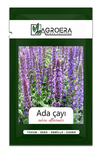 AGROERA Adaçayı Çiçek Tohumu (salvia Officinalis) 50 Adet