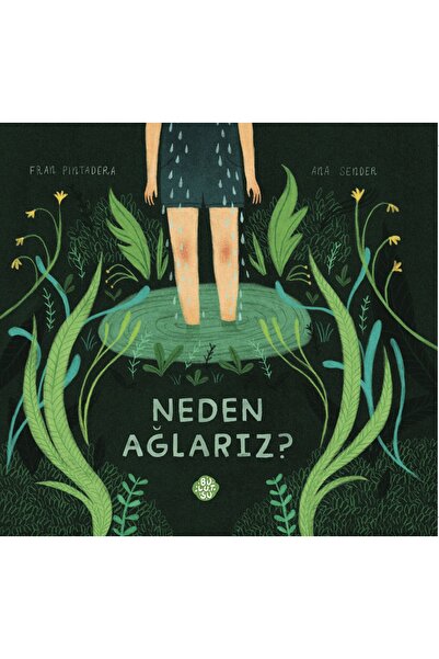 Neden Ağlarız? / Fran Pintadera / Bulutsu Yayınları / 9786057181220