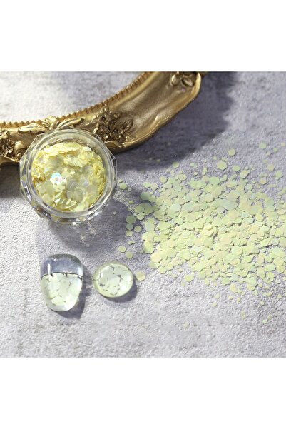Beauty Box Limon Altıgen Macaron Pul Seti Nail Art Resin Art Kalıcı Oje Prote...