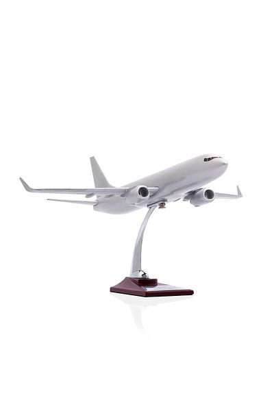 zekupp - Model Airplane - Boeing 737-800 1/100 - Silver Color Special Design Model Airplane