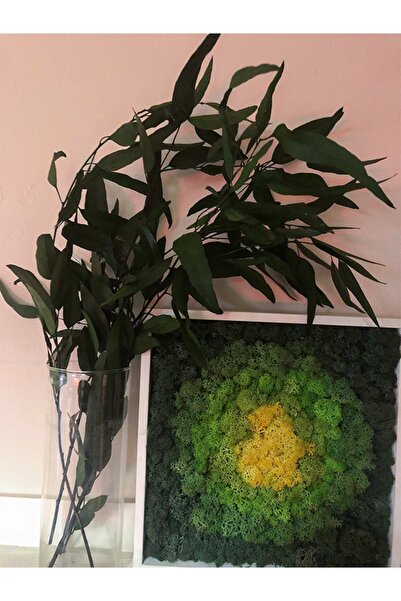 trendpeyzaj Şoklanmış Nikoly Demeti - Yeşil