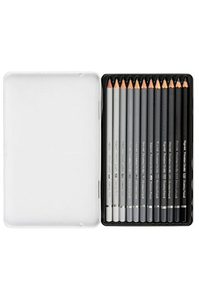 Bigpoint Metal Boxed Graduated-painting-writing-technical Drawing-coal and Sketch Pen-drawing Pencil Set of 12