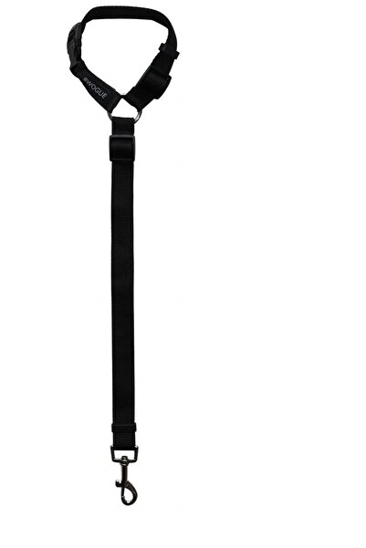 Ankaflex Evcil Hayvan Kedi Köpek Araç Araba Oto Seyahat Koltuk Başına Takılan Tasma