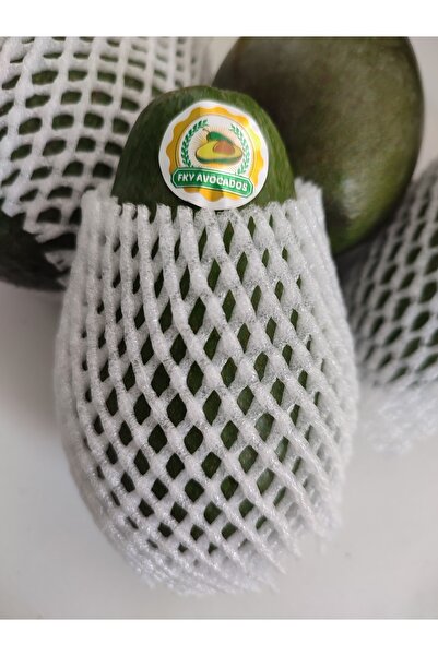 FKY AVOCADOS 5 Adet Avokado Ortalama 250 gram Ve Üstü Ihracatlık Kalite