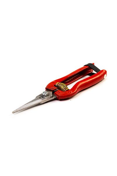 ERGÜN MAKAS Vineyard Shears Garden Plant Flower Grape Citrus Pruning Shears 20 Cm