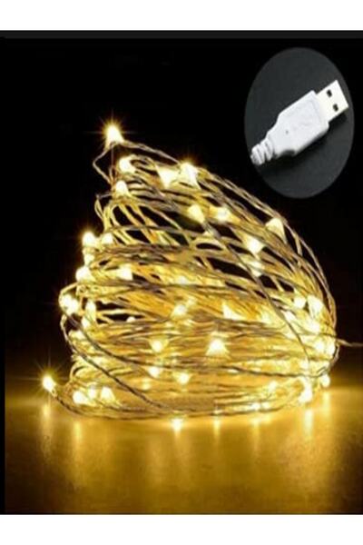 KAYAX Usb Bağlantı Dekoratif Amaçlı Günışığı 3 Metre Boyunda Peri Led