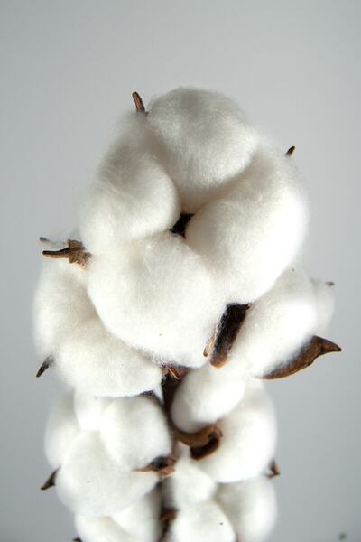 Lilac Home Ramă de cocon de bumbac