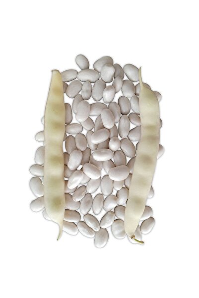 Naz Tohum Beyaz Barbunya Fasulye Tohumu 2kg